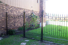 Fence 2010 13